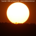 PICT0285