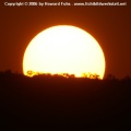 PICT0287