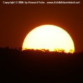 PICT0288