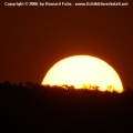PICT0289