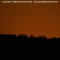 PICT0297