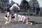 Vorstellung der Fachabteilung American Football im Herbst 1984 beim 1.FC Nord