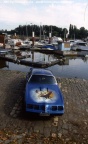 Pontiac Firebird