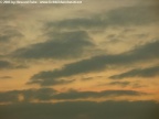 PICT0291