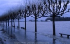 Hochwasser in Biebrich am Rhein frühe 80er Jahre
