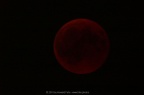 PICT2235