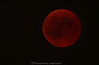 PICT2237
