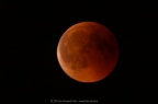 PICT2256