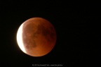 PICT2257