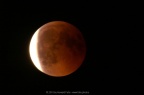PICT2258
