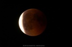 PICT2260