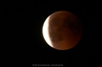 PICT2261