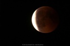 PICT2262
