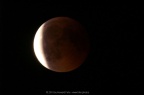 PICT2263