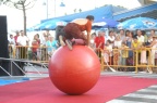 Circus
