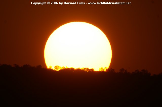 PICT0286.JPG