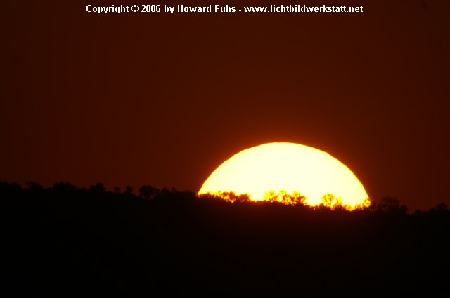 PICT0290.JPG