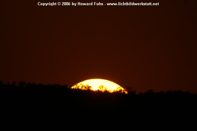 PICT0293.JPG