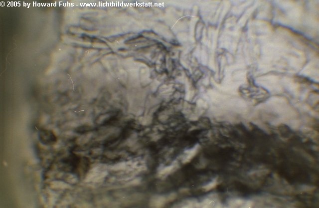 microscop007.jpg