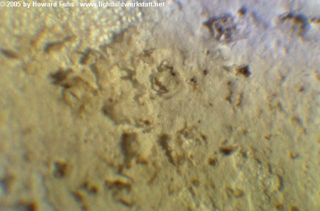 microscop015.jpg