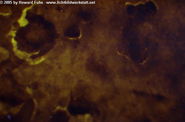 microscop016.jpg